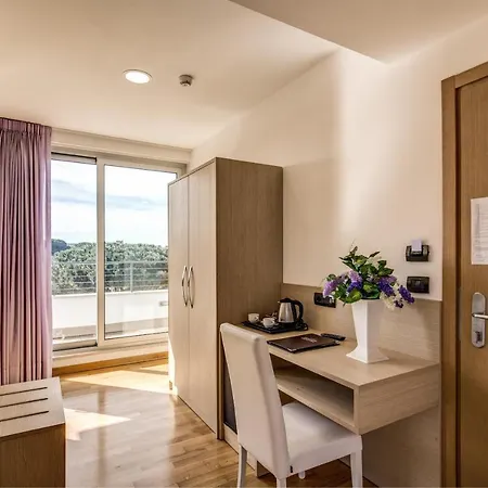 Ginevra Palace Hotel 3*