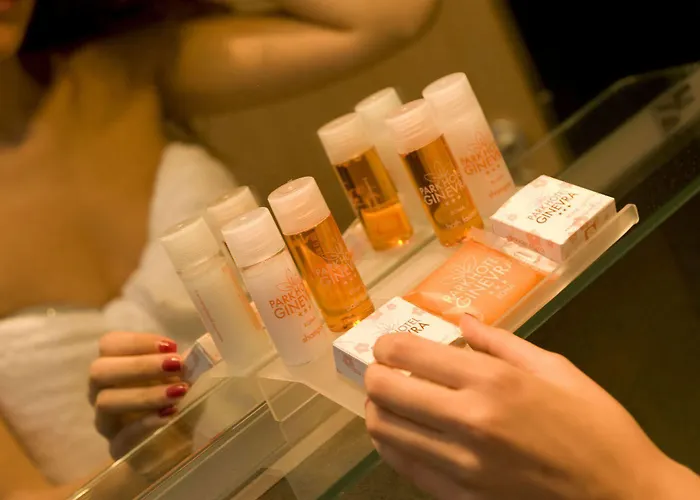 Ginevra Palace 3* 로마